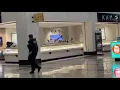 Kay jewelers was robbed today at Weberstown mall Stockton California