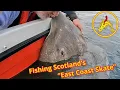 Download Lagu Fishing Scotland’s East Coast Skate 🎣 FISHnTHINGS 🐟