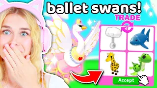 Trading BALLET SWAN In Adopt Me!