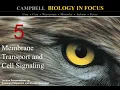 Biology in Focus Chapter 5 Membrane Transport and Cell Signaling