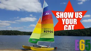 Show us your cat! Episode 65! USA and UK