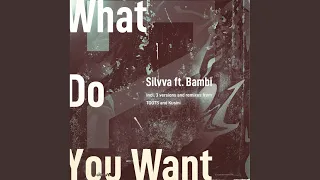 what do you want electronic mix 