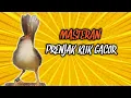 Download Lagu Masteran Burung Prenjak Klik Ngebren | Prenjak Sawah