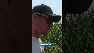 Time To Investigate