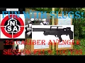 Lagu NSA 26.8 Grain Slugs | 100 Yards | Session #21 | .25 Avenger BP