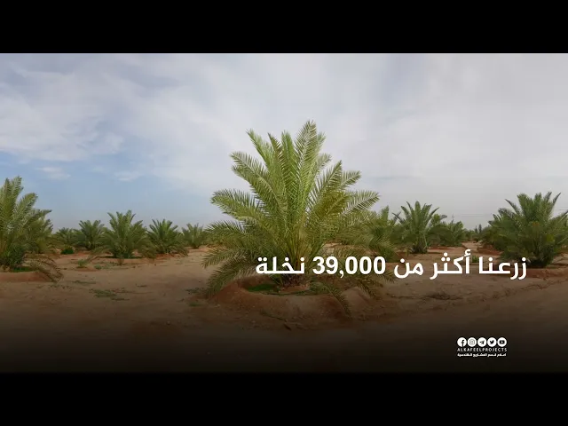 ⁣39,000 نخلة و69,755 شجرة… والرحلة مستمرة. مزارع الساقي