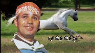 رايس حماد امنتاك   بوسالم   لقيصت ئي ئخف ئنو س ئواليون                       دندنها