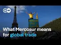 Lagu Mercosur: How Europe aims to reposition its trade in the Trump era | DW News