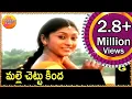 Download Lagu Malle chettu kinda  | Telangana Folk Songs | Janapada Patalu | Telugu Folk Songs HD