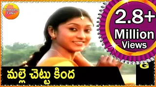 malle chettu kinda telangana folk songs janapada patalu telugu folk songs hd