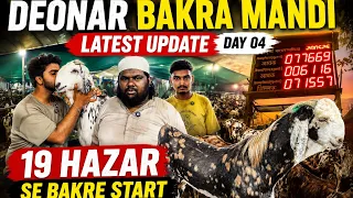 19 Hazar Se Bakre Start | Deonar Bakra Mandi 2026 Latest Update | Day 04 | Deonar | Mumbai | Bakra