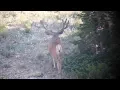 Taker Bucks Found - MonsterMuleys com