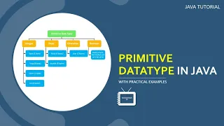 Data Type in Java Primitive Data Type with Practical Examples Java Tutorial TechnonTechTV