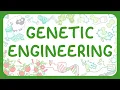 Download Lagu GCSE Biology - Genetic Engineering | GMO