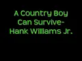 Country Boy Can Survive - Hank Williams Jr. ( w/lyrics )