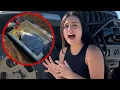 Alex Taylor Shares Devastating News Our Dog Was Shot Heartbreaking Goodbye to Groot