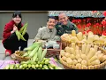 Lagu First Days of Spring 2026: Uncle Mạnh Reunites with Grandpa’s Family – Joyful Corn Harvest