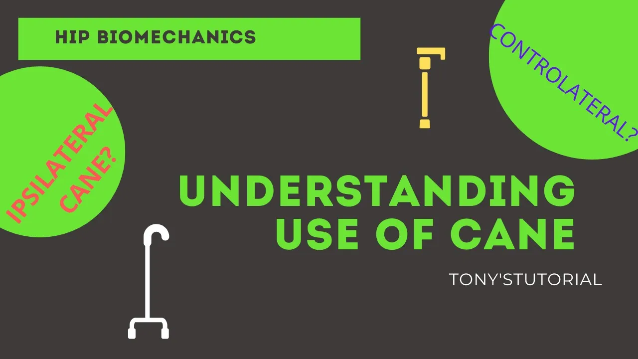 HOW TO USE CANE ? ( SAME SIDE/OPPOSITE?-Biomechanics of cane in unilateral stance)