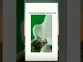 Download Lagu emng babi kao ni...