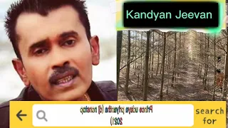 prince udaya priyantha best nonstop dj 2021 kandyan jeevan 