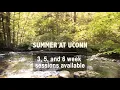 Summer Courses at UConn for You Online In-Person