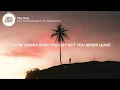 The Chainsmokers - The Fall (Lyrics) ft. Ship Wrek