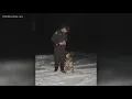 Ionia County Sheriff s Office mourns loss of its only K9