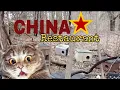 UNSANITARY Cat Farm Behind Chinese Restaurant Elkhart Indiana