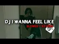 Lagu Dj I Wanna Feel Like ( Slowed + Reverb ) 🎧
