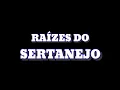 Zezé Di Camargo e Luciano - Hoje Eu Quero Te Amar