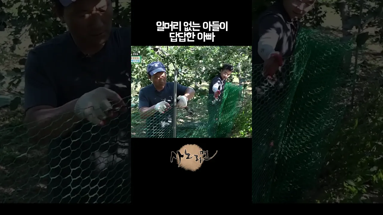 일머리 없는 아들이 답답한 아빠