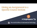 Assigning Brightspace Assignments to a Specific Course Section
