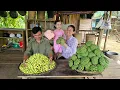 Download Lagu Countryside beauty - Harvesting lotus seeds in the swamp for sale - Sweet taste of lotus seed tea.