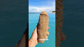 Did You Pass Or Fail This Challenge Subscribe To Get Another Chance 