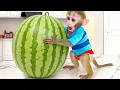 Download Lagu ذهب قرد بون بون إلى المزرعة لزراعة البطيخ وصنع آيس كريم عملاق مع قرد صغير
