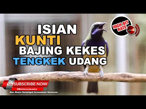 Download MP3 🔴FULL Isian Kunti Tengkek Udang Bajing Kekes Cucak Cungkok Gacor Panjang Volume TEMBUS ❗️
