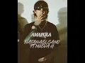 AMAPOLA NATANAEL CANO FT NUEVA H