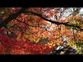 Android Project Resources - Saving Custom Colors