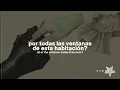 ZAYN - dusk till dawn (ft. sia) [sub. español + lyrics]