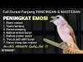 Lagu TRUCUKAN GACOR EMOSI BUNYI PANCINGAN MASTERAN TERBAIK TRUCUK CEPAT EMOSI RAJIN BUNYI