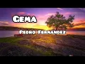 Pedro Fernández - Gema (letra)