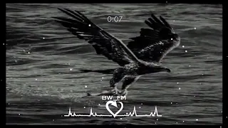 موسيقي حزينه يعشقها الجميع موسيقي الصقر                           دندنها