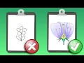How to Draw a Flower Insect Pollinated Flowers