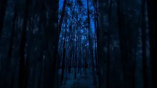 Think Of Me Once In A While Take Care 1hour Loop Luke Baxley 