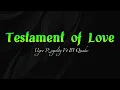 Testament of Love Lyrics by Ugee Royalty Ft IB Quake