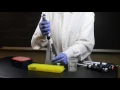 How to Use a Micropipette SEP
