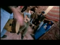 Collective Soul - Shine (Live in Morocco)