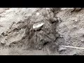 Download Lagu LARGE BUSH OF SAND LANDSLIDES 