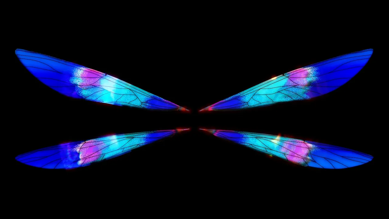 Metamorphosis | Short Animation