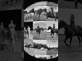 Download Lagu Living on Love #journey #love #bestmoments #horsegirls #living on love #epicjourney